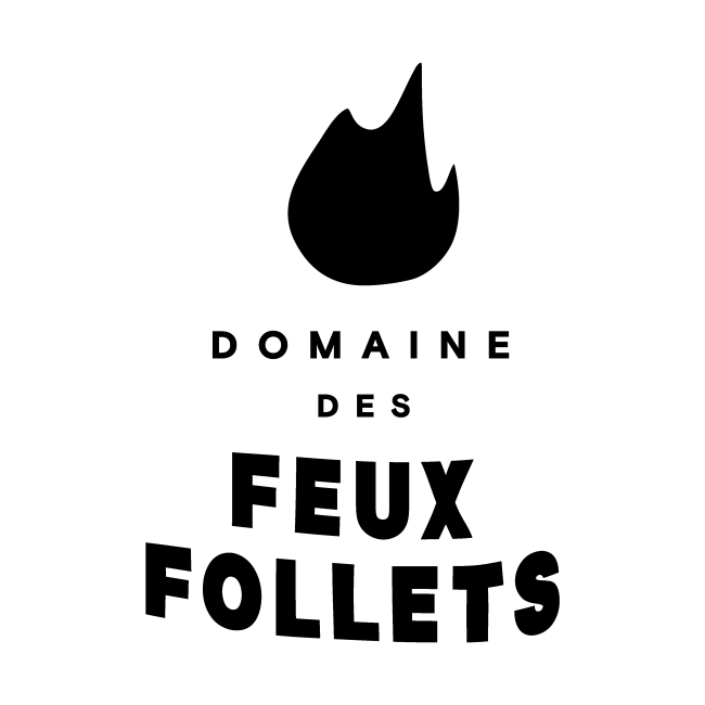 logo_domaine_feux_follets_noir.png